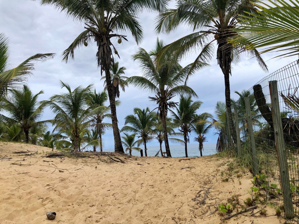 Brasilien - Mata de São João - Strand am Hippidorf 