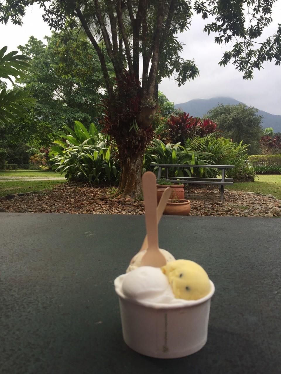  - Australia, Daintree Icecream Company - 
