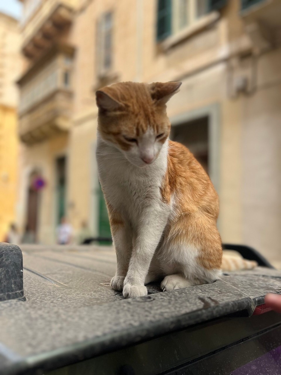 Malta - Valletta - 