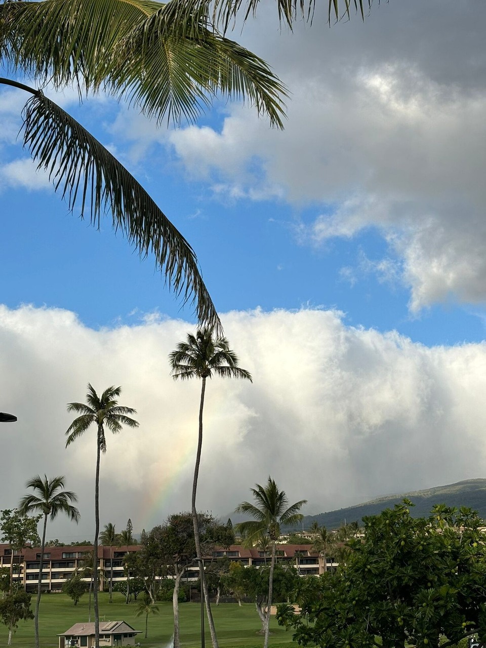 Vereinigte Staaten - Kaanapali - 