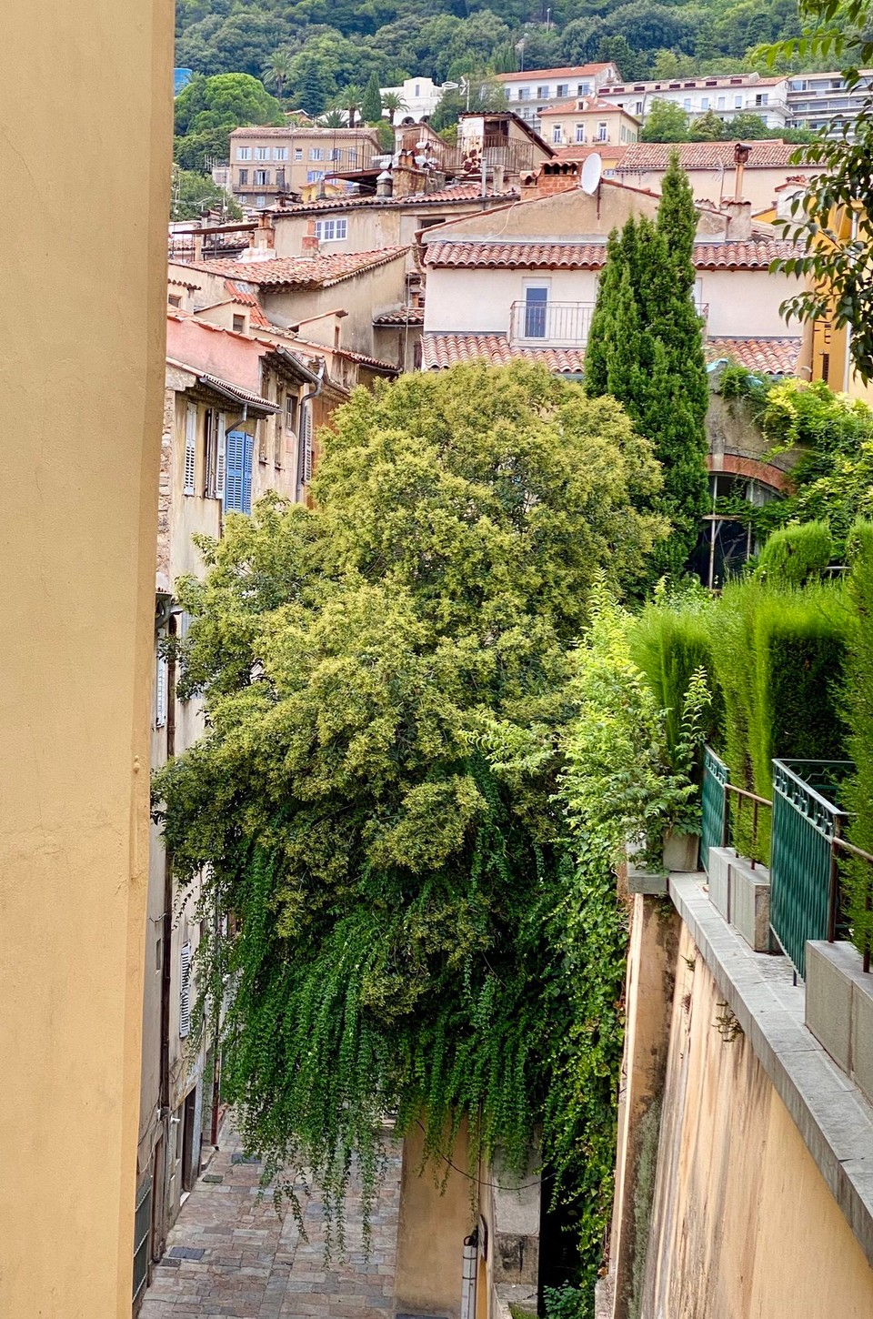 Frankreich - Grasse - 