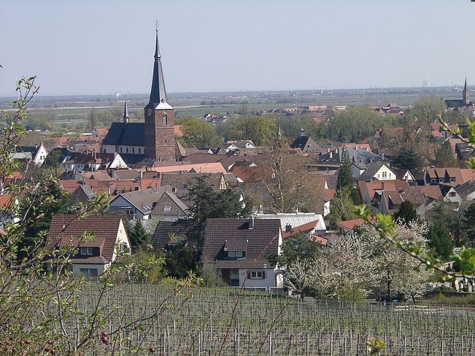 Deutschland - Deidesheim - ***Deidesheim  a.d.dt.Weinstrasse mit Blick  Rheinebene