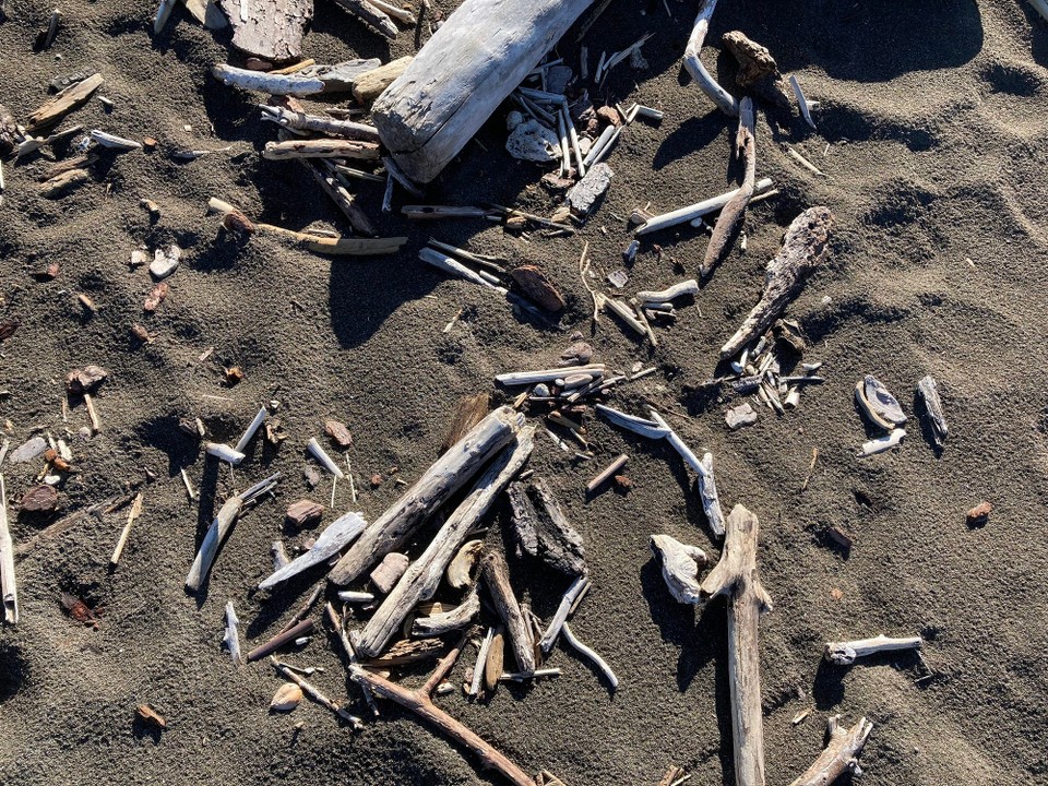 Neuseeland - Napier - 