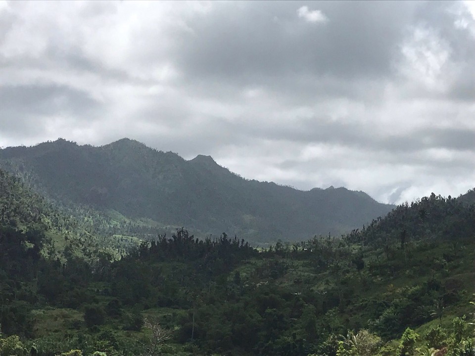 Dominica -  - 