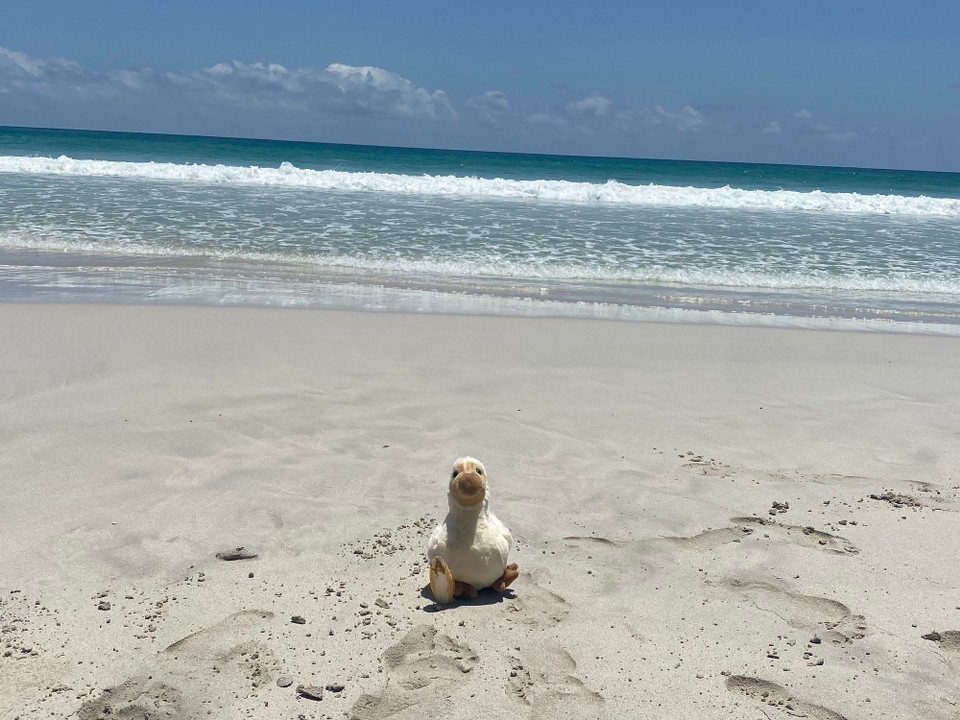 Oman -  - Ich geh surfen 