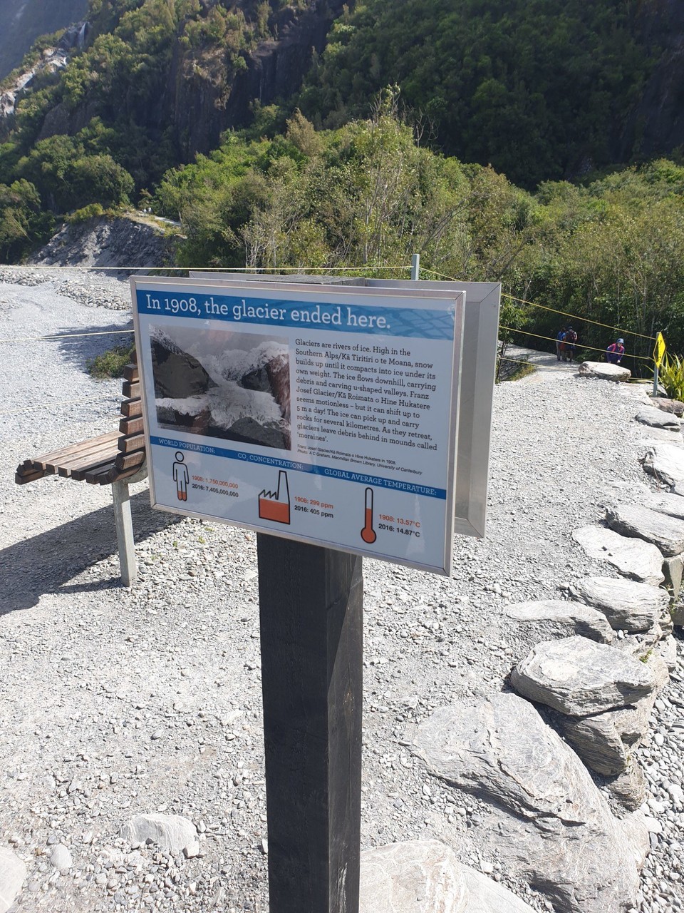 Neuseeland - Fox-Gletscher - 
