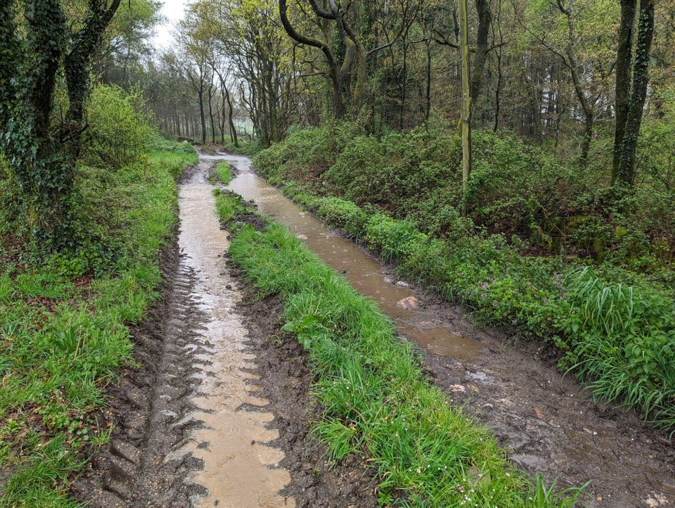 Spanien - Palas de Rei - Ist es noch Weg oder schon Fluss?