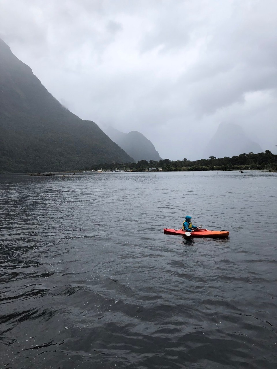 Neuseeland - Milford Sound - Kajak fahren in strömendem Regen — es hat trotzdem viel Spass gemacht.