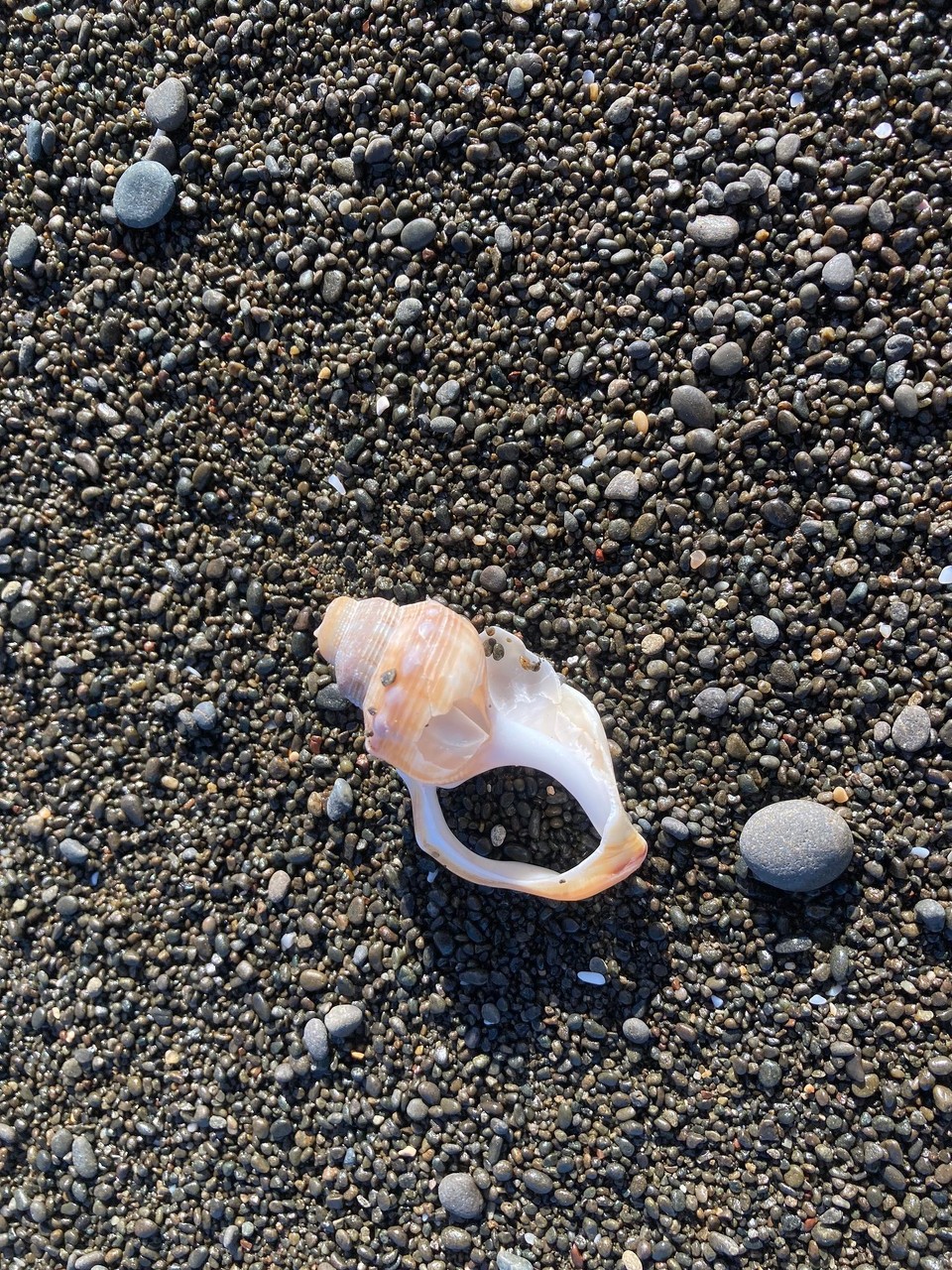 Neuseeland - Napier - 