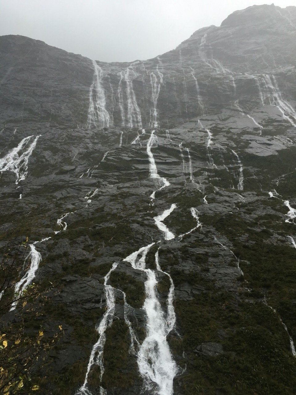 New Zealand - Milford Sound - Nur bei so einem Regenwetter kann man soviele Wasserfälle sehen - das ist alles auf dem Weg zu den Milford Sounds