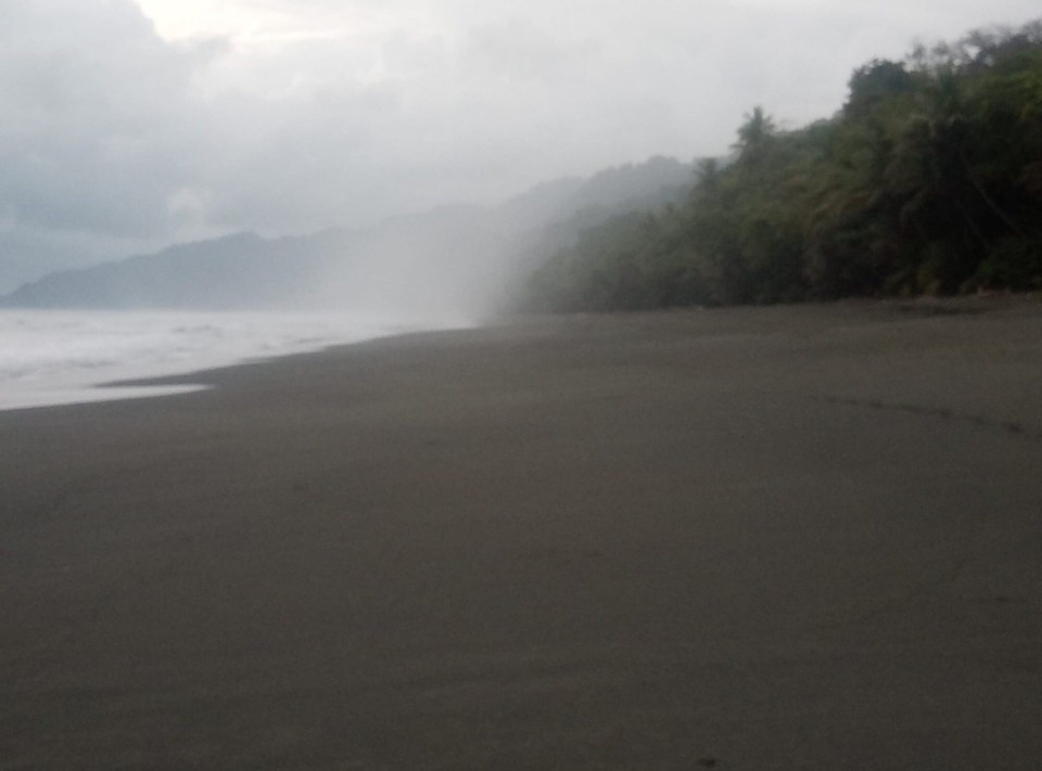 Costa Rica - Osa - 
