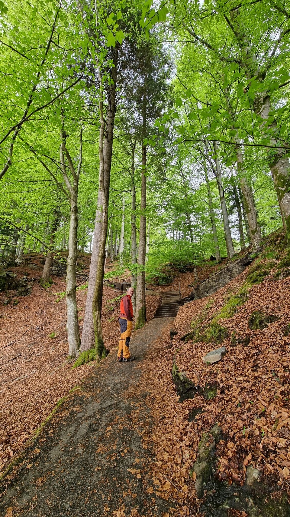 Norwegen - Bergen - 