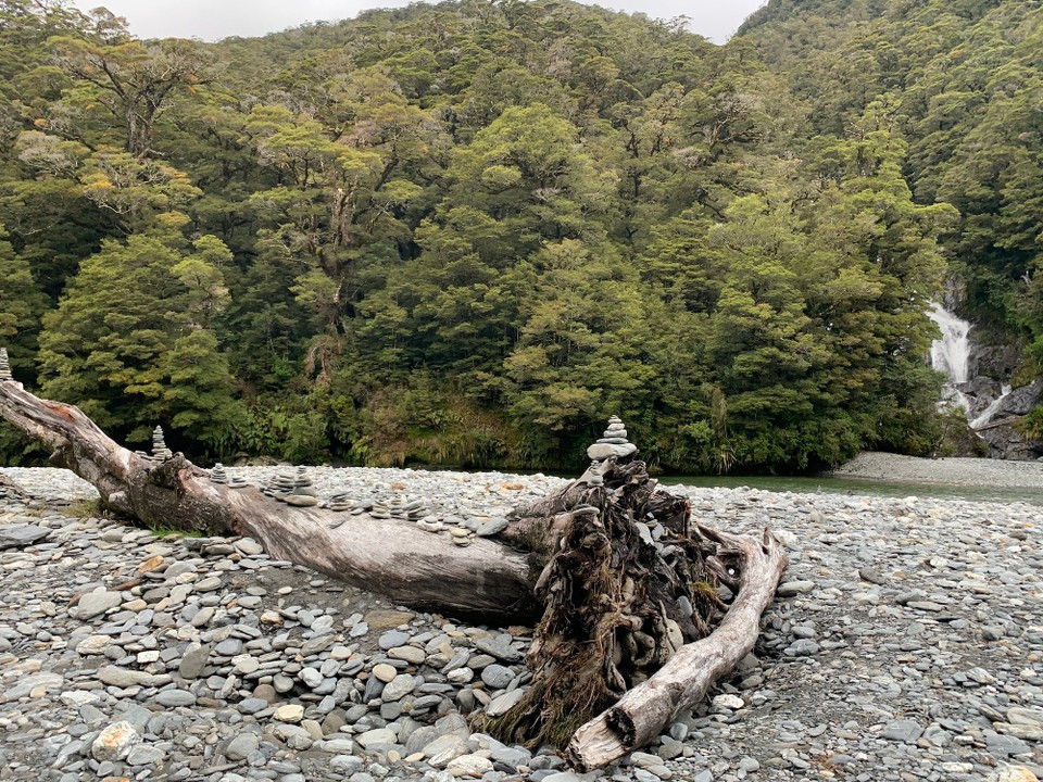 Neuseeland - Fox Glacier - 