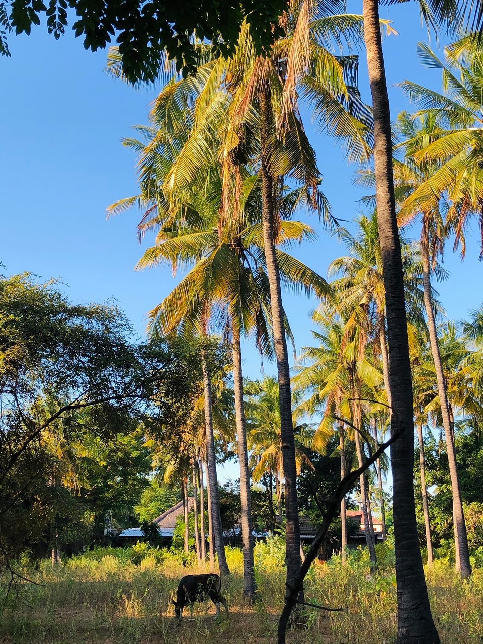 Indonesien - Kabupaten Lombok Utara - 