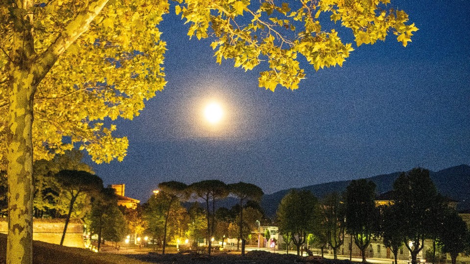 Italien - Lucca - 