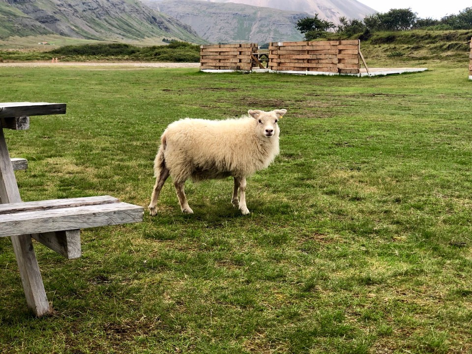 Island - Sveitarfélagið Hornafjörður - Erst einmal aufwachen jetzt...