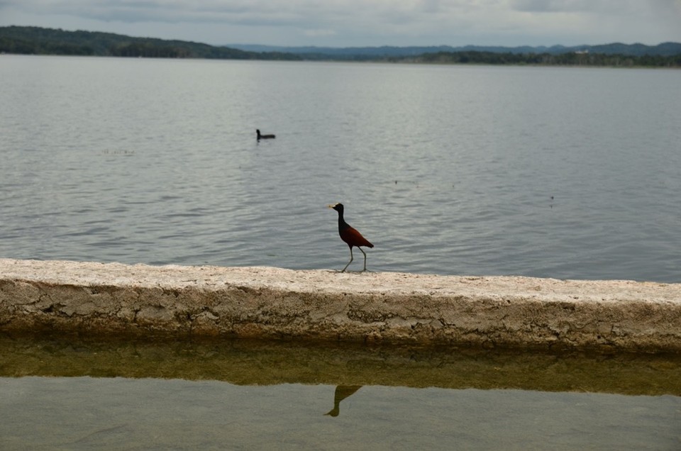 Guatemala - Flores - 
