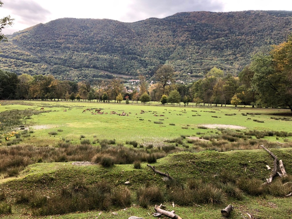 Frankreich - Vizille - 