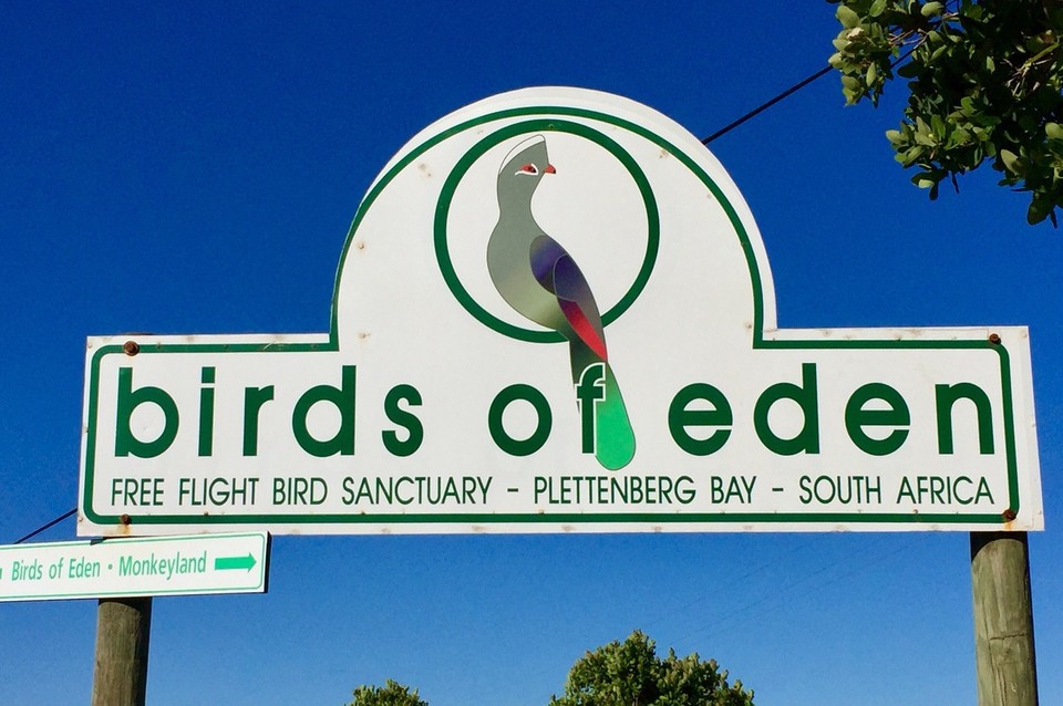 Südafrika - Plettenberg Bay - 
