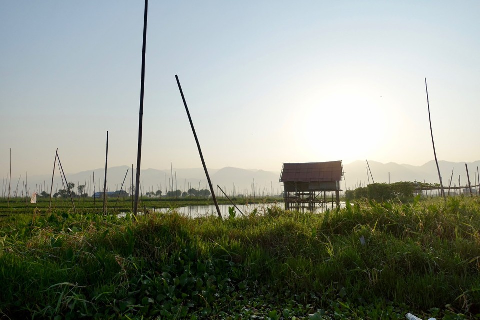 Myanmar (Burma) - Inle Lake - Floating gardens