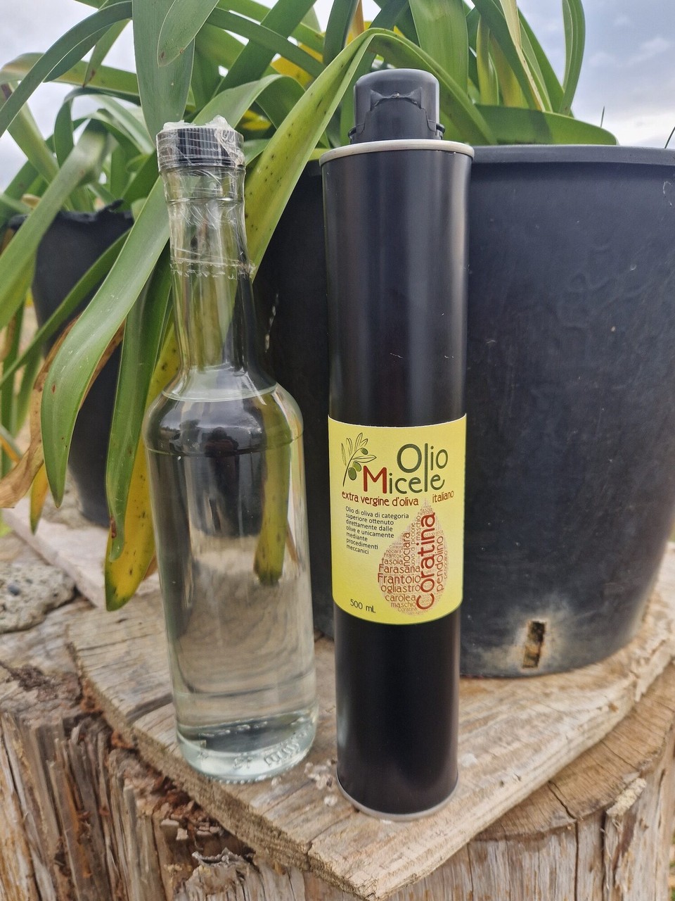 Italien - Brindisi - Errungenschaft bei Lorenzo, Olivenöl und Aquavit 