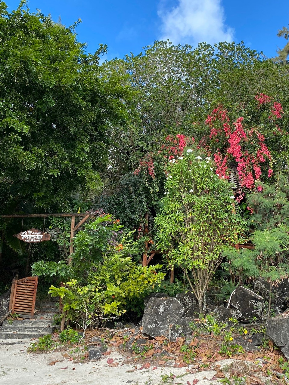 Mauritius -  - 