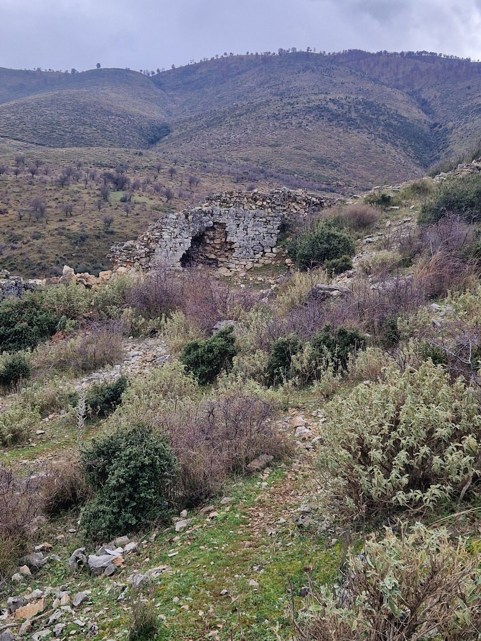 Albanien - Tepelena - 