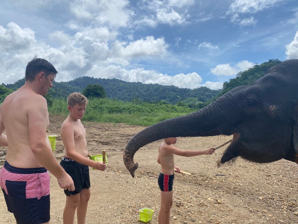 Thailand - Phanom - Bananen mochte sie lieber als das Zuckerrohr!