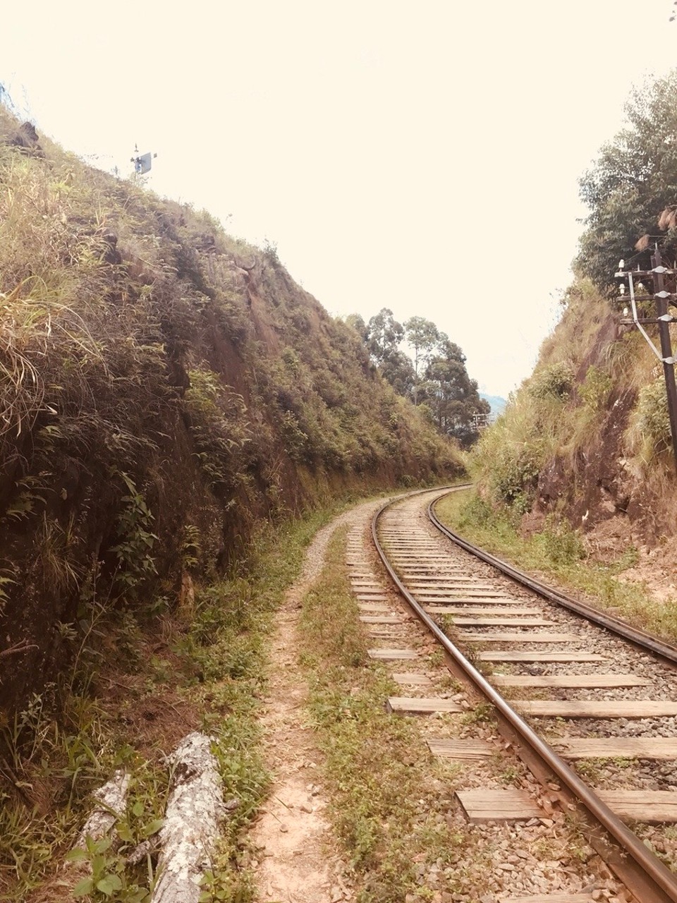 Sri Lanka -  - 