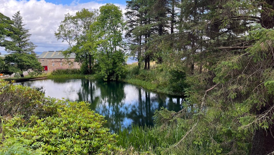 United Kingdom - Golspie - Une magnifique distillerie dans un écrin de verdure 