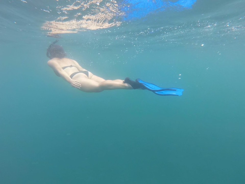 Panama -  - Anschließend ging es auf Schnorchel-Tour auf die Insel Coiba 🤿 🏝️ 

Unsere Erwartungen wurden übertroffen: neben zahlreichen Fischen 🐠 🐟…