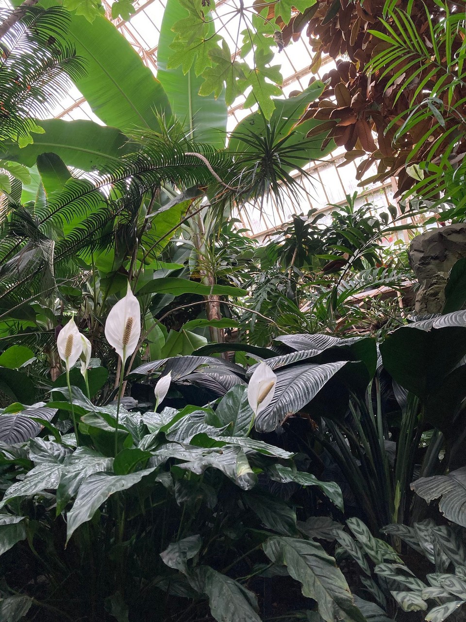 Neuseeland - Christchurch - 