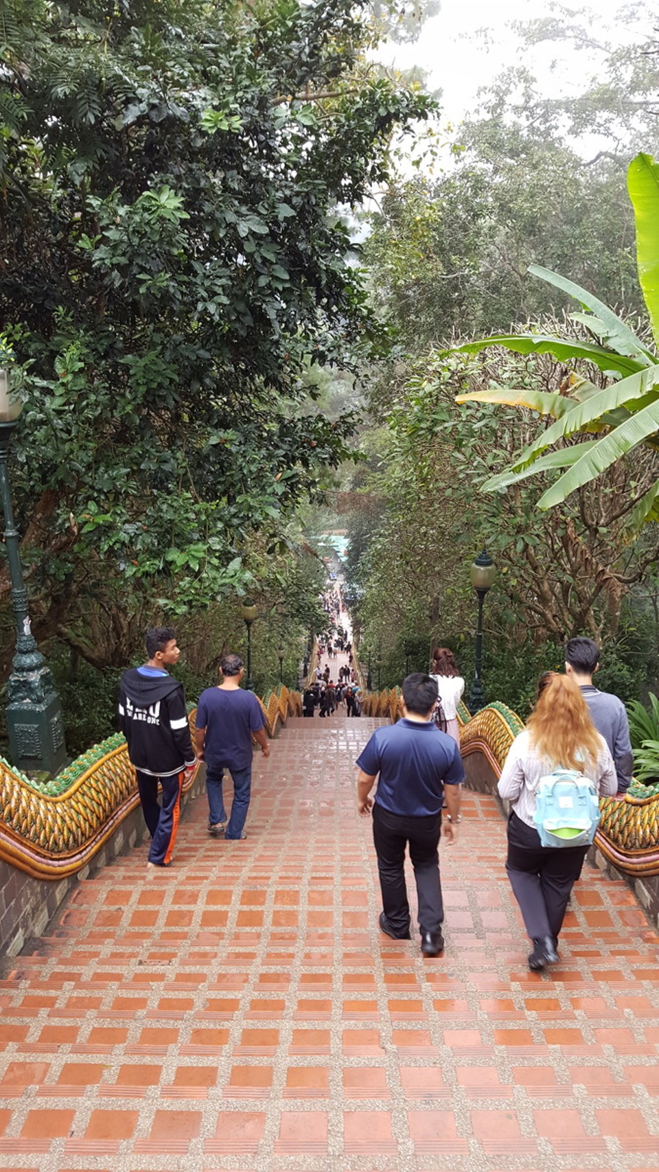 Thailand - Chiang Mai - 