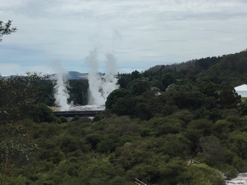 Neuseeland - Waimangu - 