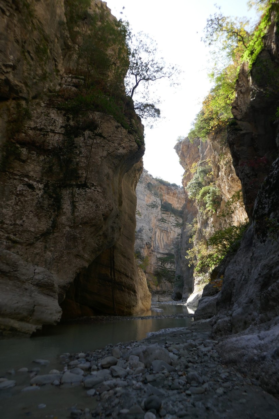 Albanien - Ogdunan - 