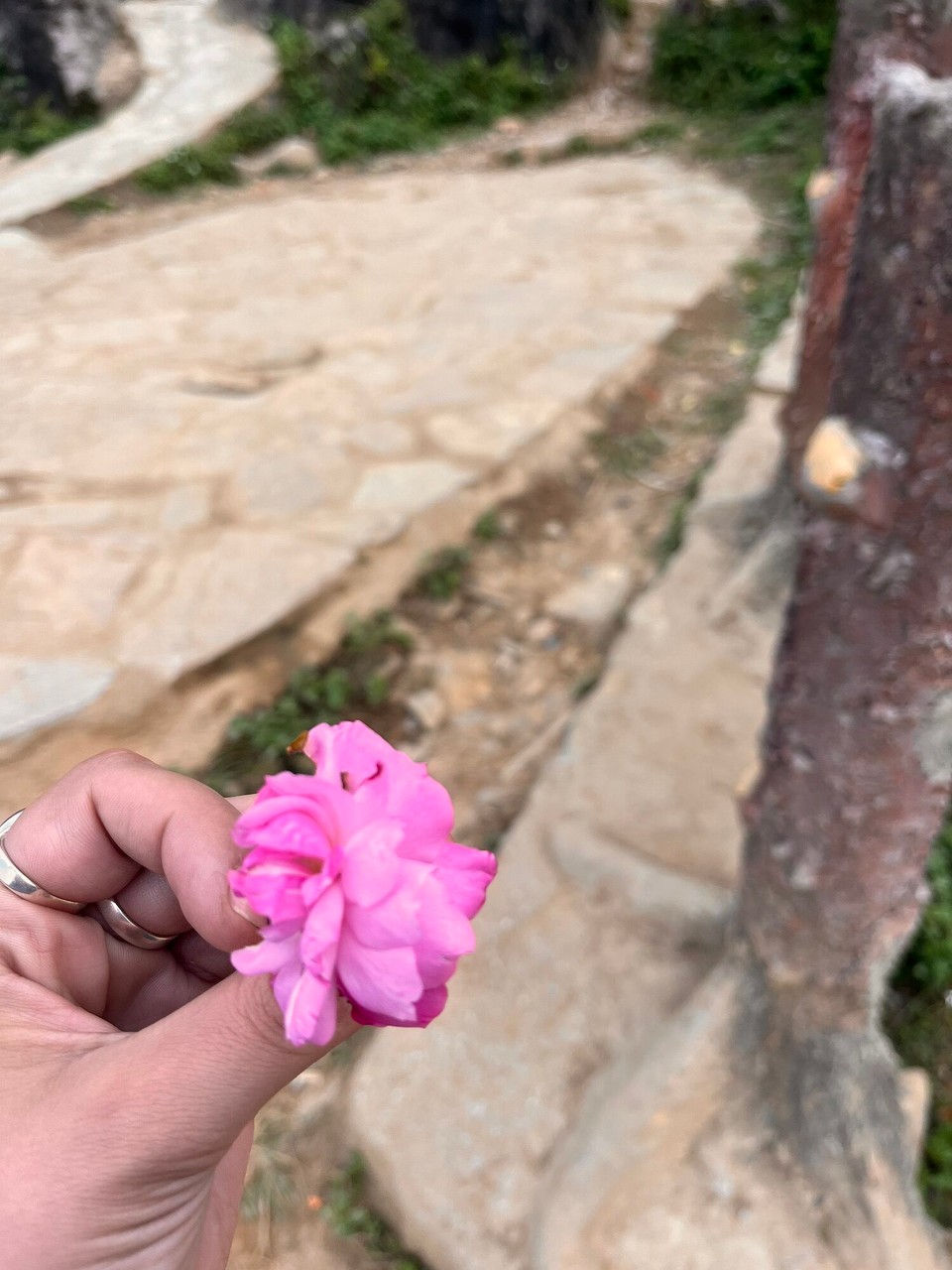 Vietnam - Ha Giang - Mihn gave me a flower 🌷 