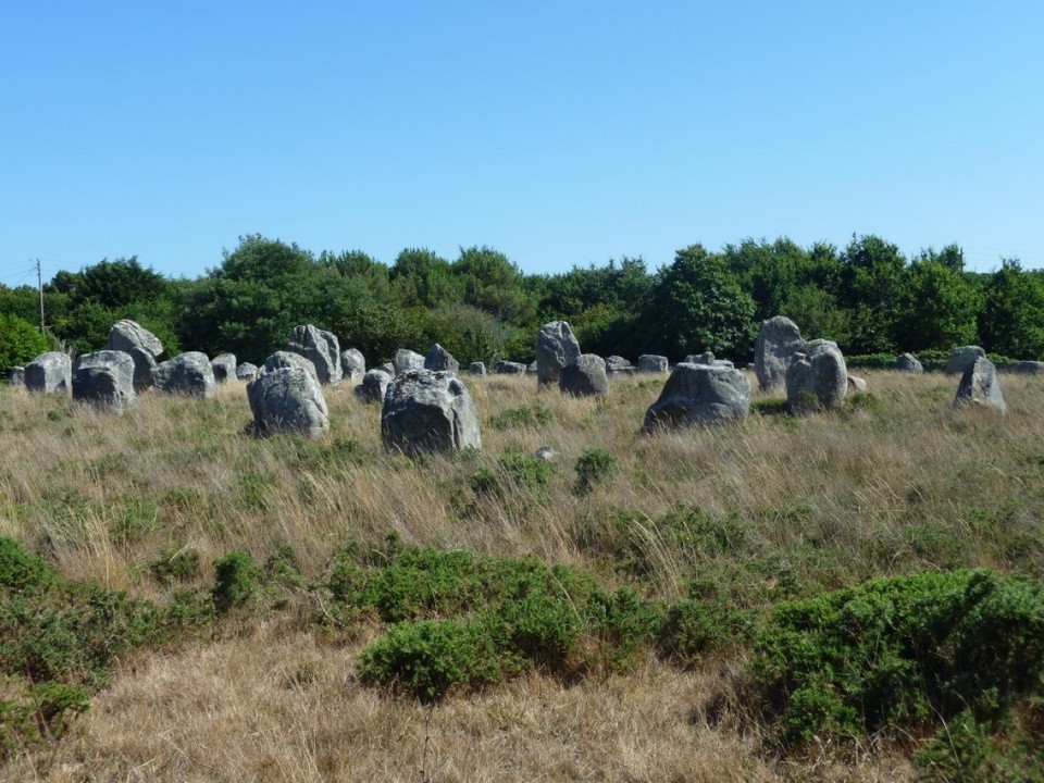 Deutschland - Ludwigshafen  - Megalith-Felder um Carnac