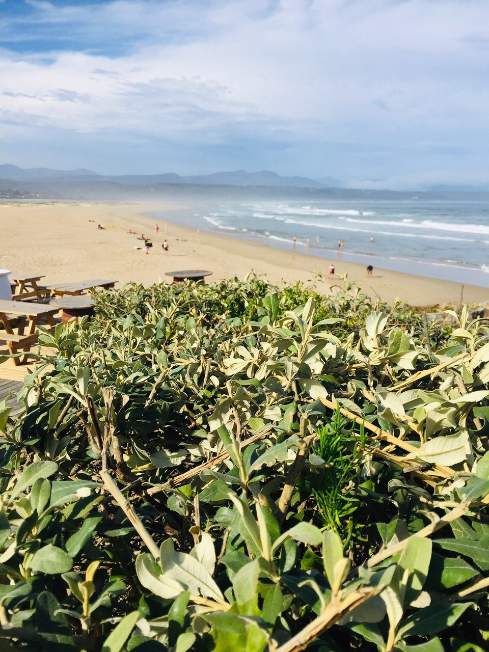 Südafrika - Plettenberg Bay - 