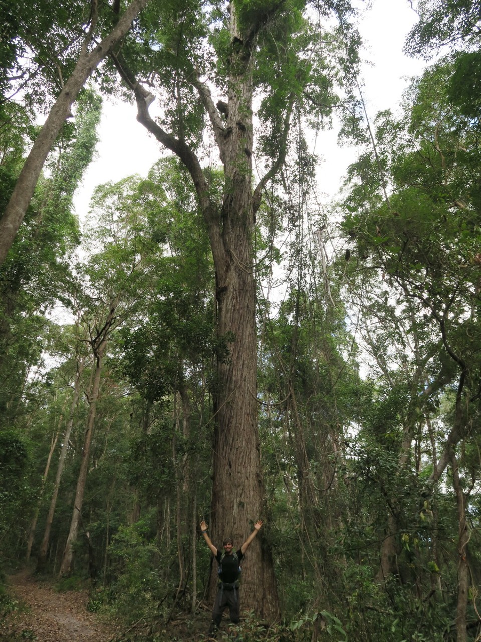 Australia - Fraser Island - 