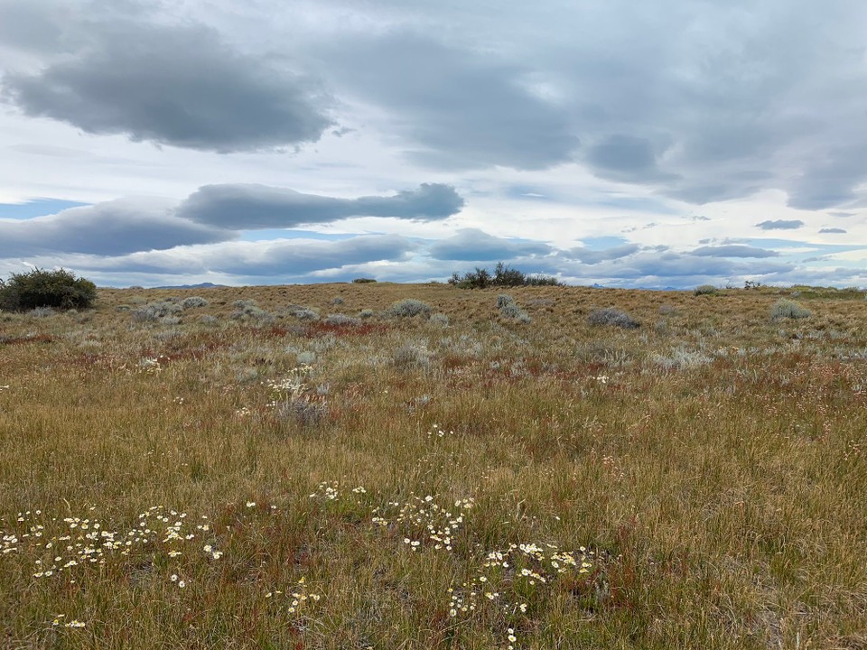 Argentinien - El Calafate - 
