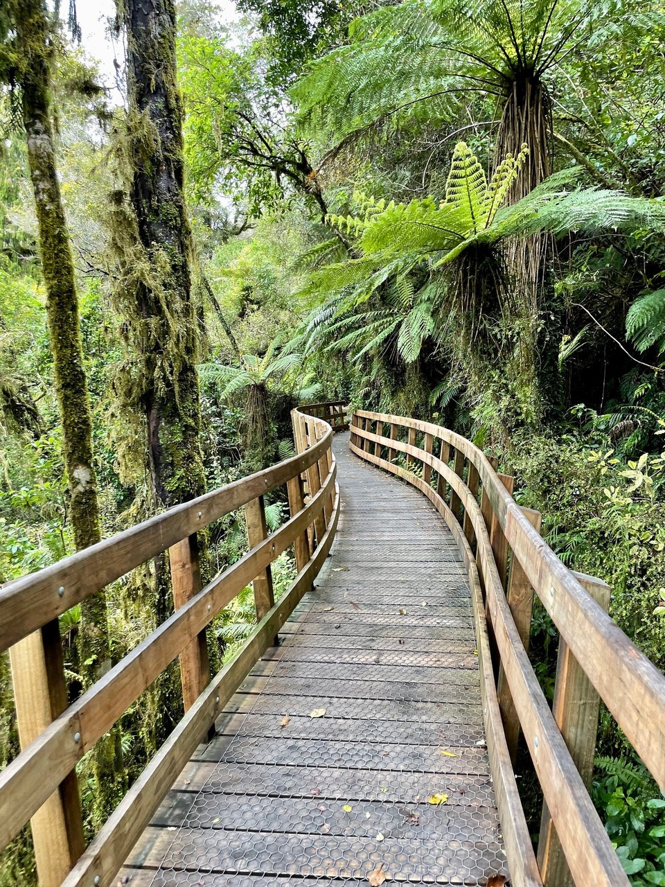 Neuseeland - Haast - 