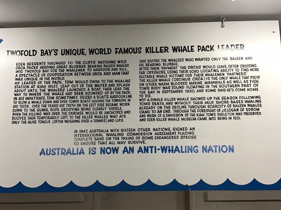 Australia - Eden - Fascinating story of ole Tom 🐋