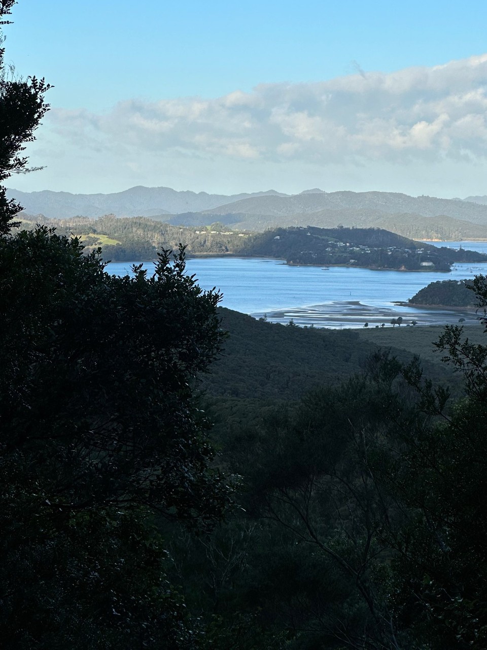 Neuseeland - Paihia - Abendspaziergang mit Aussicht 