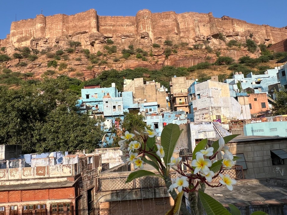 Indien - Jodhpur - Guten morgen Jodhpur.