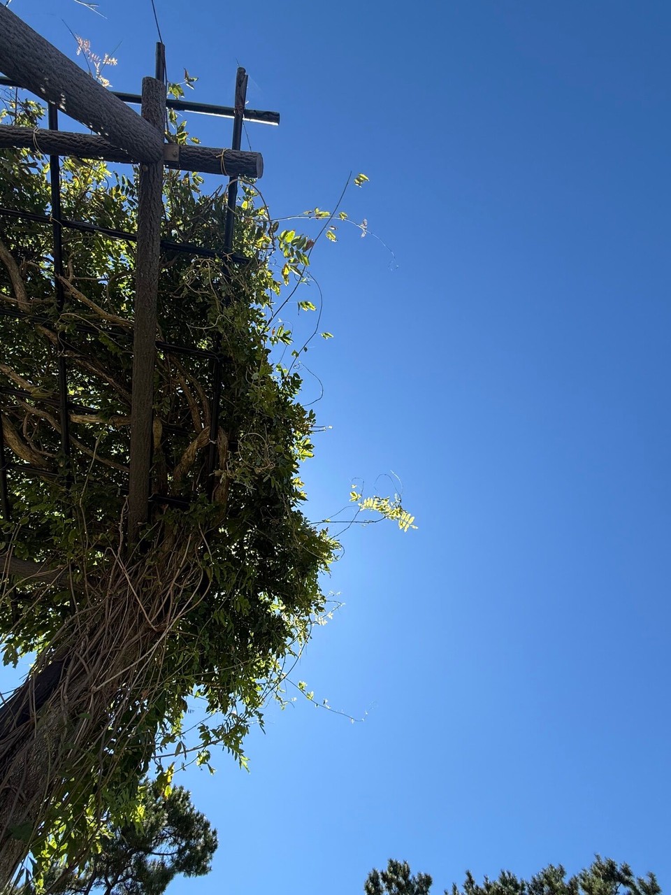 Japan - Nachikatsuura - Relaxen ☀️ 📖 😎 im Schatten