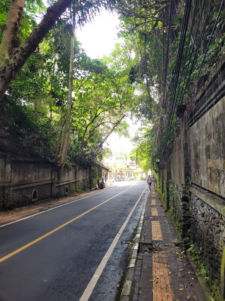 Indonesien - Ubud - 