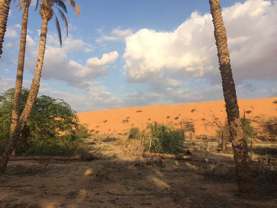 Oman -  - 