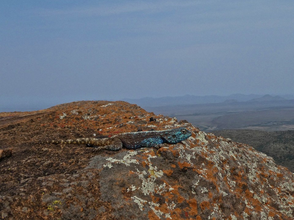 Südafrika - Graaff-Reinet - 