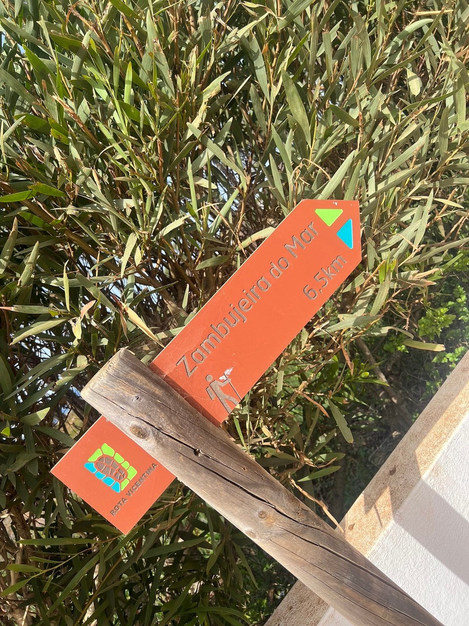 Portugal - São Teotónio - 