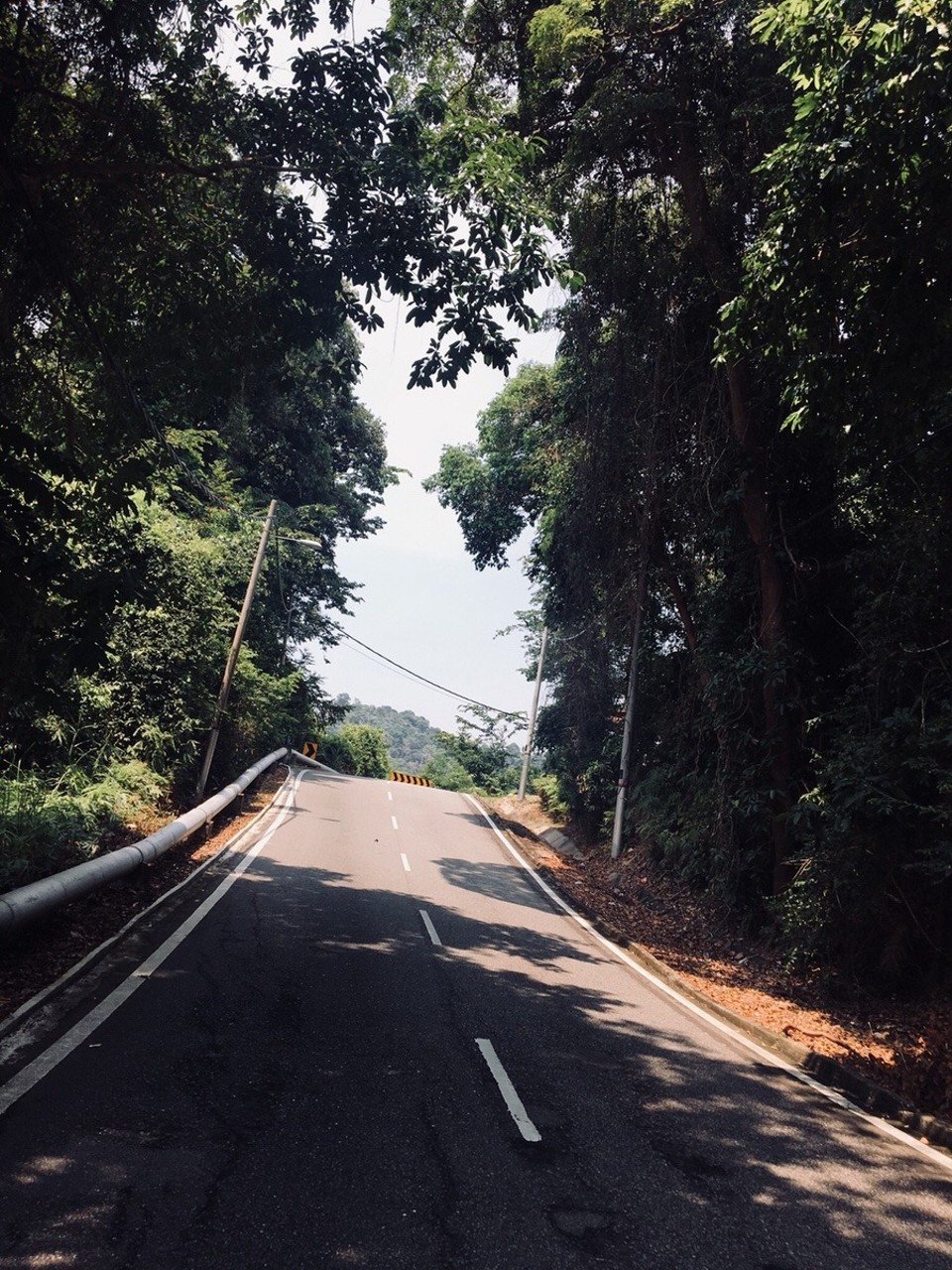 Malaysia -  - 